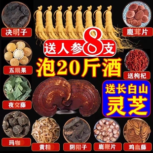 长白山男性泡酒料人参虫草滋补养生专用泡酒套餐十全肾中药材鹿鞭