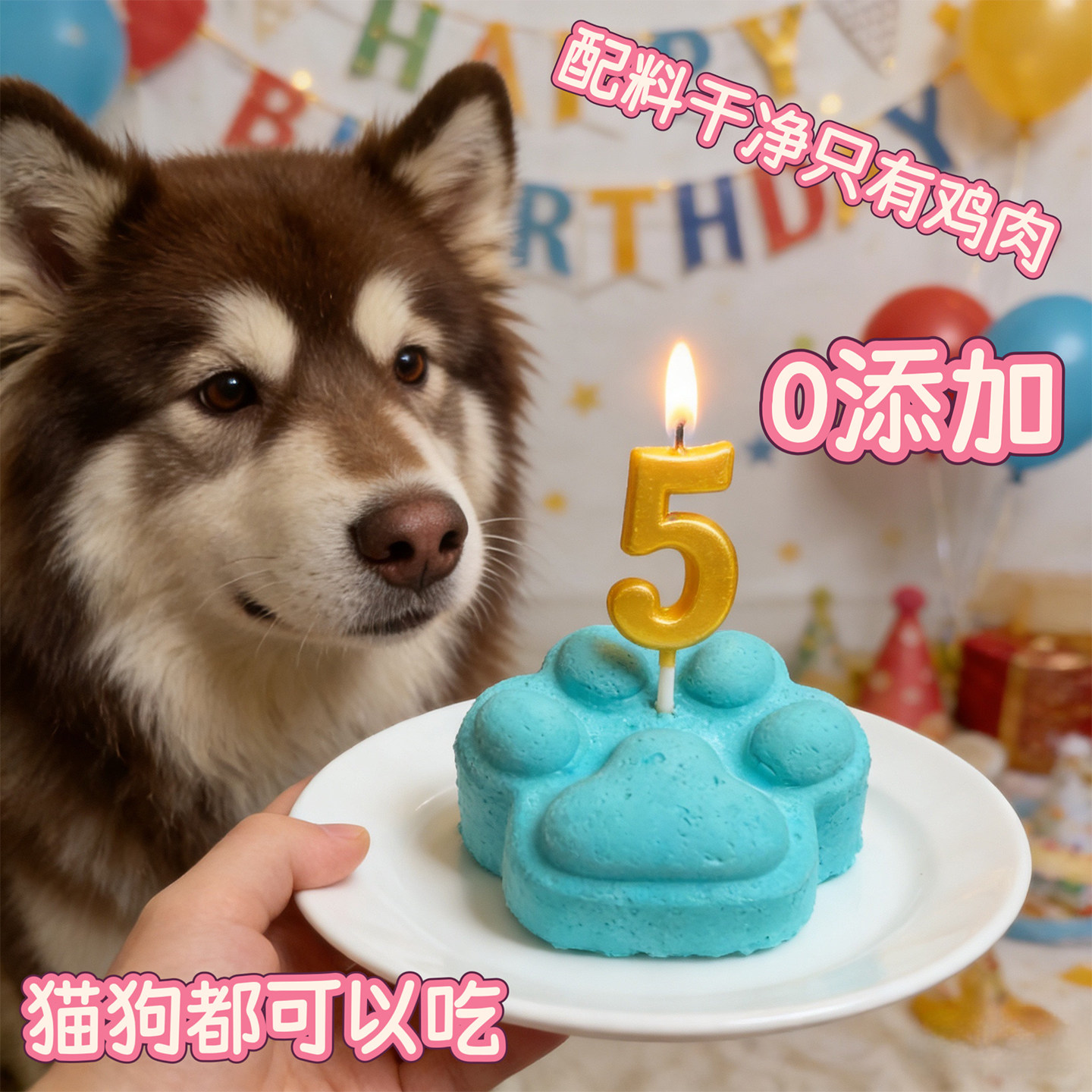 小宠一狼蓝色爪子猫宠物生日蛋糕狗猫咪零食自制纯鸡肉天然小型犬,宠物/宠物食品及用品,狗饼干,淘宝优惠券,粉丝福利购,淘宝优惠卷