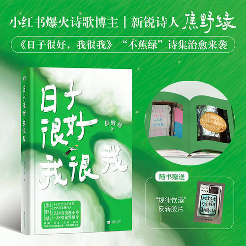 日子很好，我很我磨铁正版