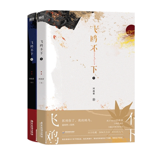 飞鸥不下 全2册 小说 回南雀 高人气作者高口碑代表作 青春文学小说实体书 磨铁图书 正版书籍
