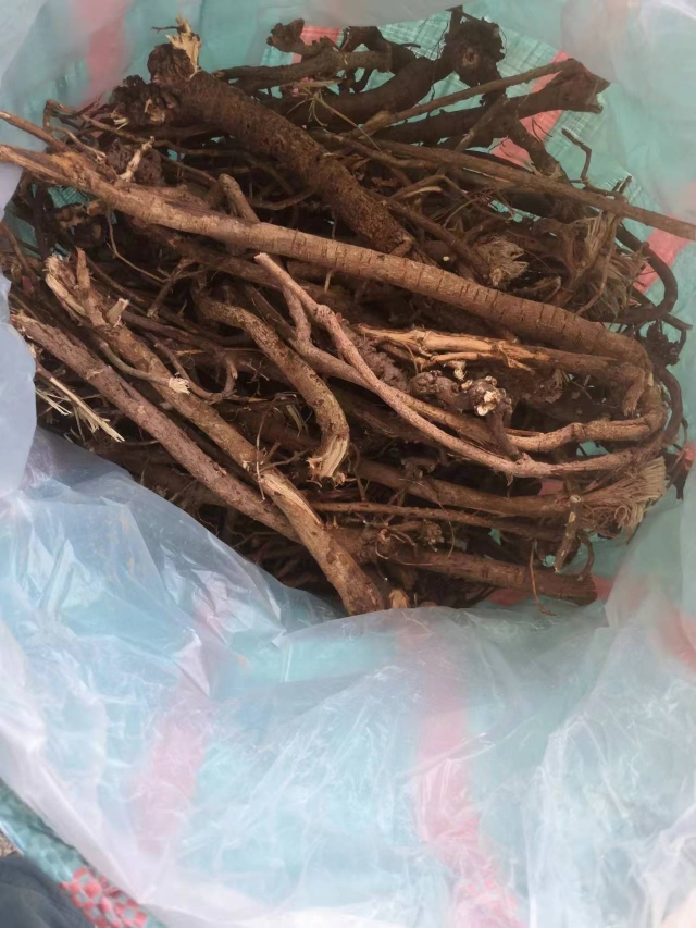 云南原生态千斤拔小叶红皮无硫中药材一条根老鼠尾钻地风黄氏独根