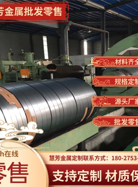 Q235 Q295 Q355 Q460NH Q390GNH Q345GNHL耐候钢 中厚板 钢板材