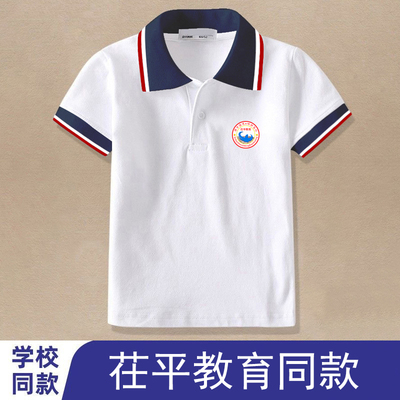山东省茌平教育学校同款校服学生夏季初中纯棉短袖T恤polo衫班服