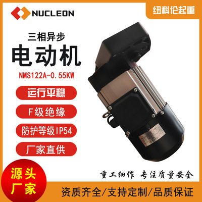 纽科伦/NUCLEON三相异步电动机NMS122A-0.55KW