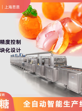 204-SE-350J软糖全自动生产线 糖果浇注成型设备 果糖机