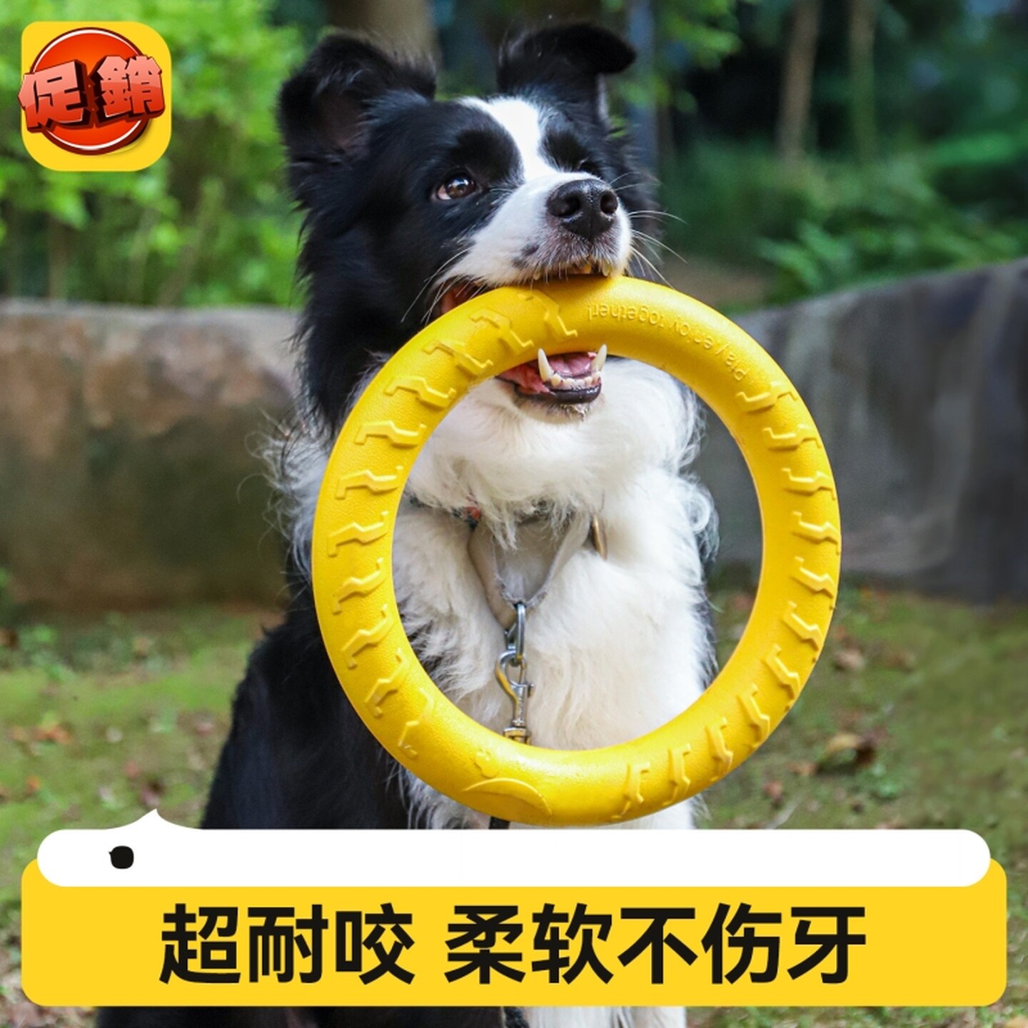 狗狗飞盘玩具磨牙耐咬球自嗨解闷神器宠物飞盘拉环训狗边牧大型犬