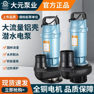 大元小型潜水泵220v灌溉鱼塘3寸4寸大流量抽水机咨询客服有优惠价