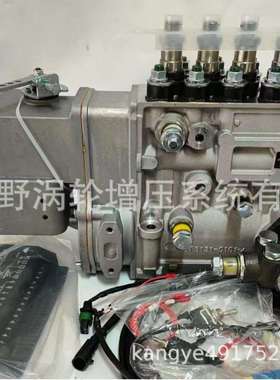 喷油泵106674-412A和和400912-00374和040261980265.11101-7302