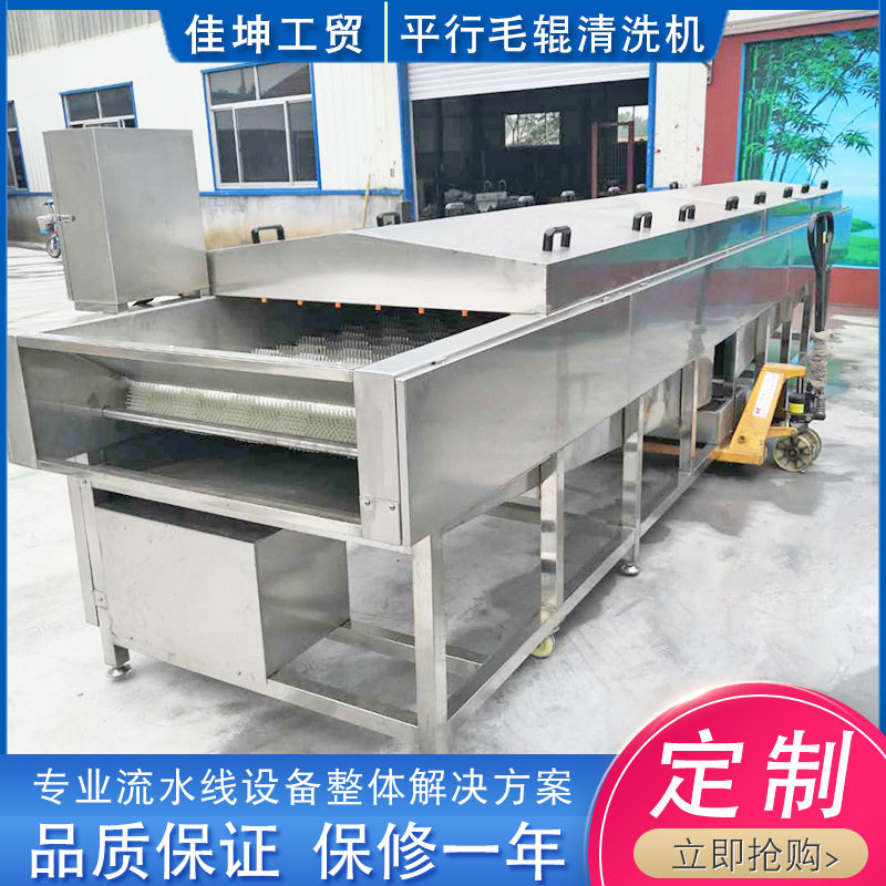 莱阳梨清洗去皮机 西红柿清洗去皮机 荠菜疙瘩清洗机佳坤制造