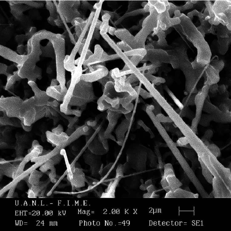 碳化硅晶须纤维 SiC纳米线 纳米碳化硅短纤维粉100克零售