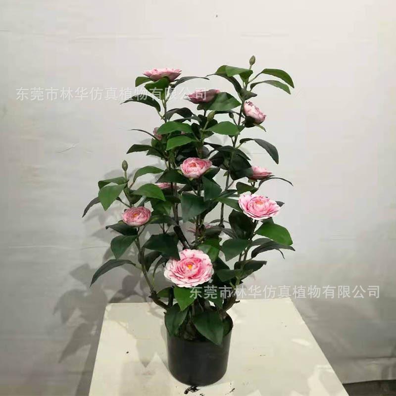 仿真茶花树家居装饰仿真山茶花落地仿真绿植盆景摆件玉兰花树