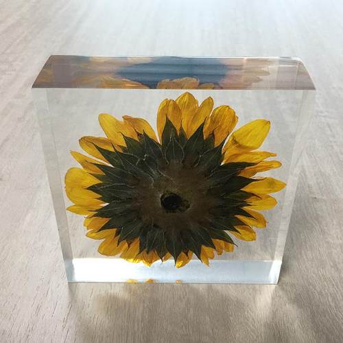 亚克力纸镇来样来图做货工艺品树脂摆件创意摆件