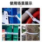 可松式 大号活扣尼龙扎带强力固定座卡扣塑料束线带捆绑带重复使用