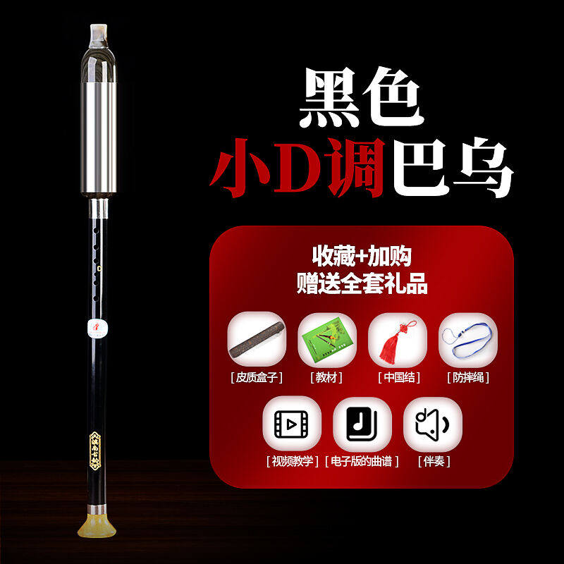 巴乌乐器竖吹G/F/小D/C/降B/A/调儿童小学生成人初学者入门黑小D