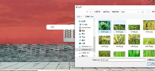 DL00359-深度学习CNN水稻病虫害自动识别系统