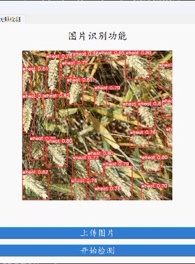 DL00602-使用YOLOV5做麦穗计数源码