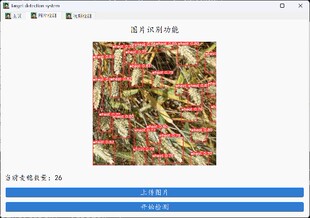 DL00602-使用YOLOV5做麦穗计数源码
