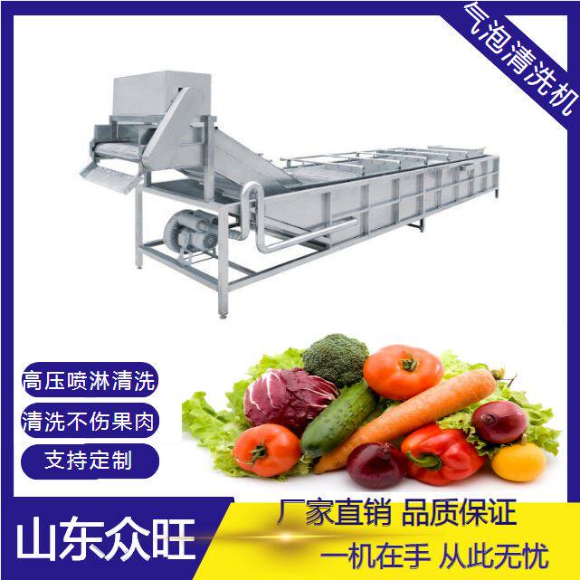 全自动果蔬气泡清洗机 蔬菜净菜清洗风干线 大型食堂洗菜机设备