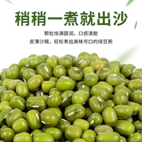 农家好绿豆500g当季新货清甜易煮烂低脂肪煮粥粗粮煲汤易出沙营养