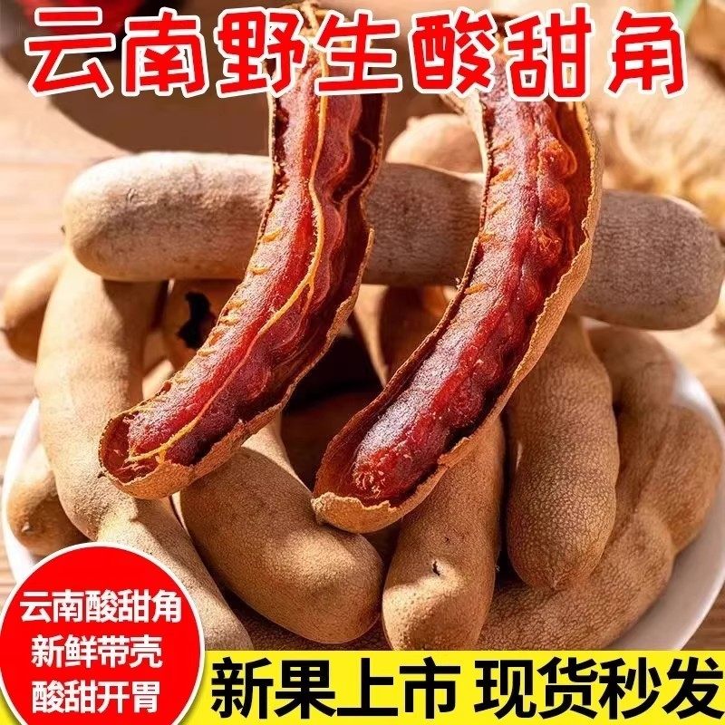 酸角云南特产新鲜野生大甜角孕妇零食甜酸角酸甜豆角酸枣糕罗望子