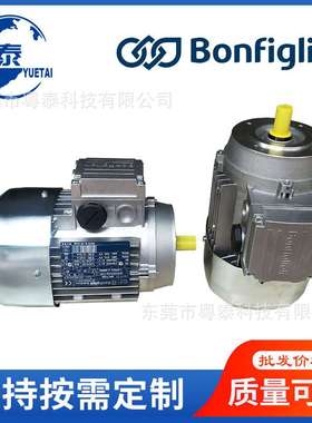 意大利邦飞利电机BN27 63B4 BN71B4 BE80B4 90L 100LA4 112M4 132