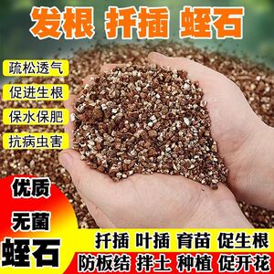 蛭石园艺扦插养花专用颗粒爬宠乌龟孵化月季育苗发根基质种植土壤