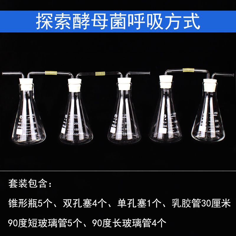探究酵母菌呼吸方式实验演示用具套装全套含锥形瓶双孔单孔橡胶塞