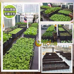 特大型种植箱 长方形蔬菜种植箱塑料花盆 家庭屋顶楼顶阳台菜园