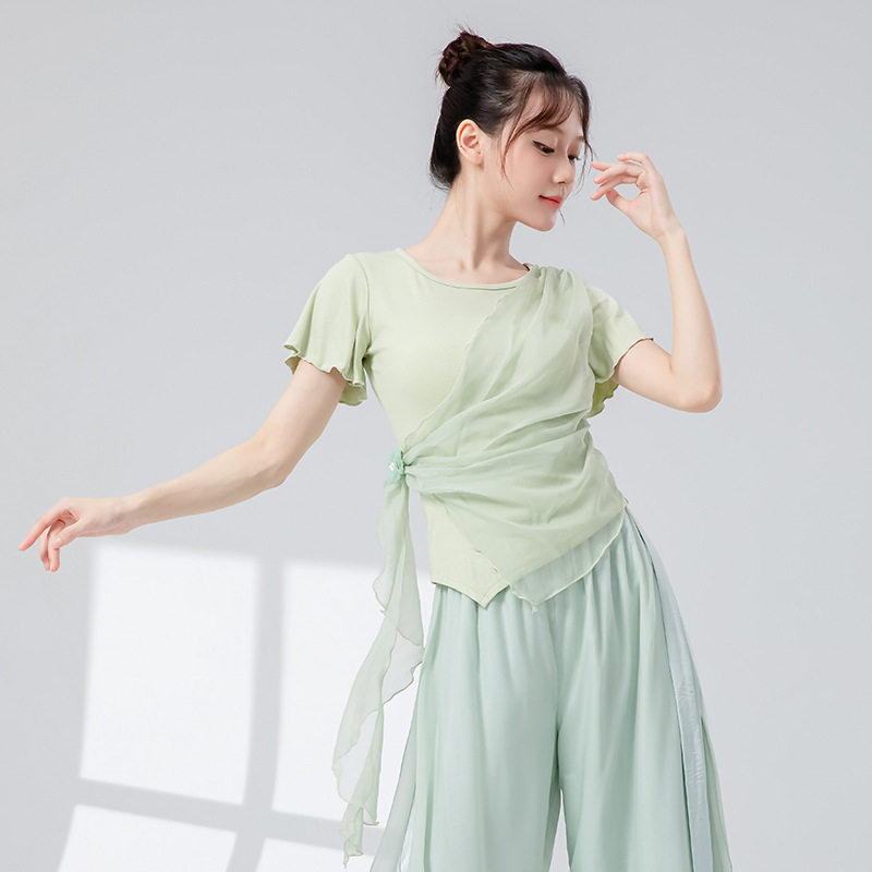 古典舞纱衣新款雪纺钉花形体服女