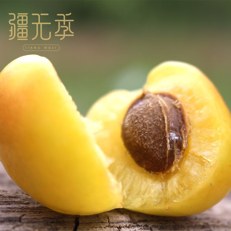 5.25日排单【轮台直发】疆无季[新疆小白杏]长在树上的白色蜂蜜果