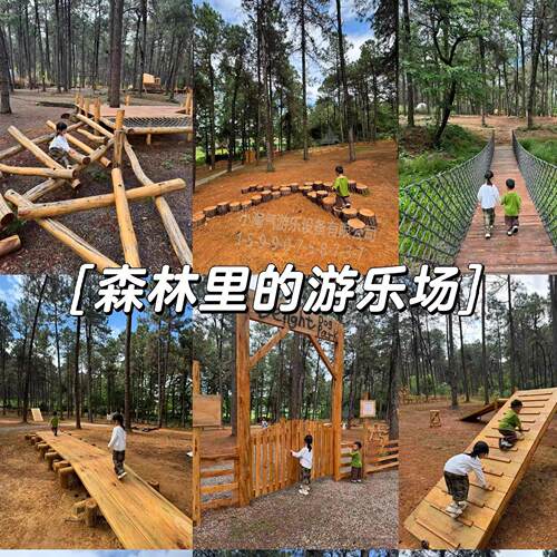 木系列幼儿园户外435大型游施乐设儿童早教统攀爬网滑梯树屋感槐