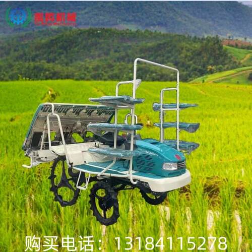 高DOV行式速乘坐插秧机6水稻载苗机行汽8油插苗机