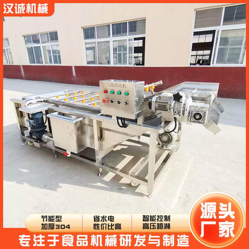 自动海鲜参类气泡清洗机 气泡冲浪式全洗鱼机鱼 海清洗流水WGC线