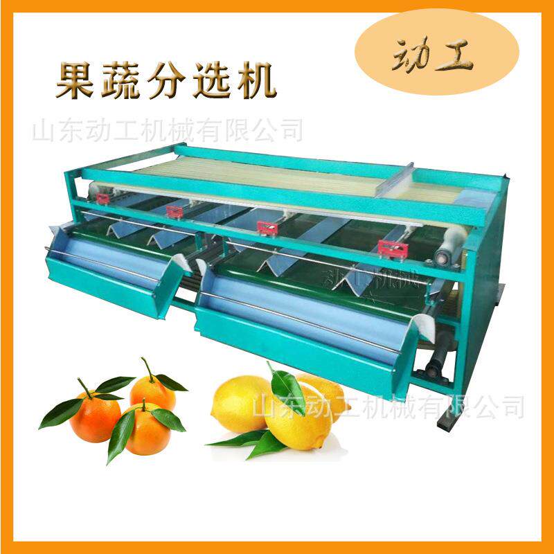 商用黄金香果分选分机 ROX轨道百式橄子榄油柑级机 可调节梨分拣