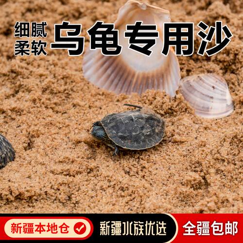 乌龟专用沙冬眠孵化下蛋底砂包邮