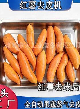 红薯干加工蒸汽去皮机薯块头生产去皮设备食品厂可现场试机