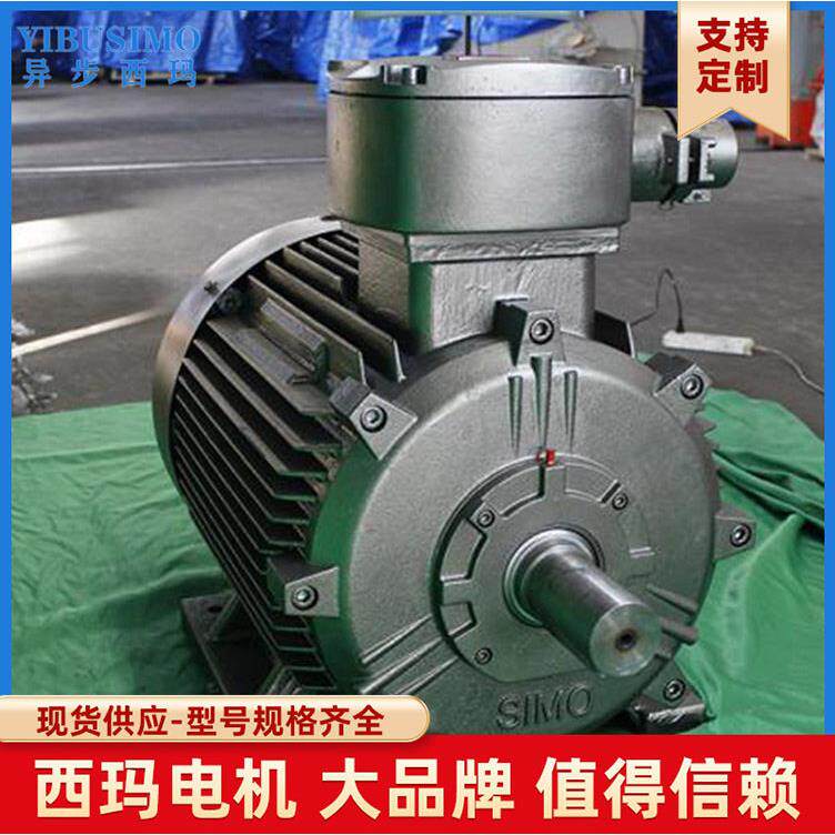 工频IC411异步效率低压永磁同步电机TYP5-160M130W噪声低