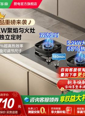 [新品]华帝i10306D双边定时燃气灶煤气灶家用双灶天然气官方旗舰