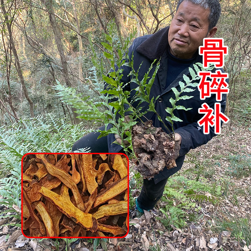 野生新鲜骨碎补 猴姜 毛姜 爬岩姜石岩姜中药材500g 毛姜干申姜粉