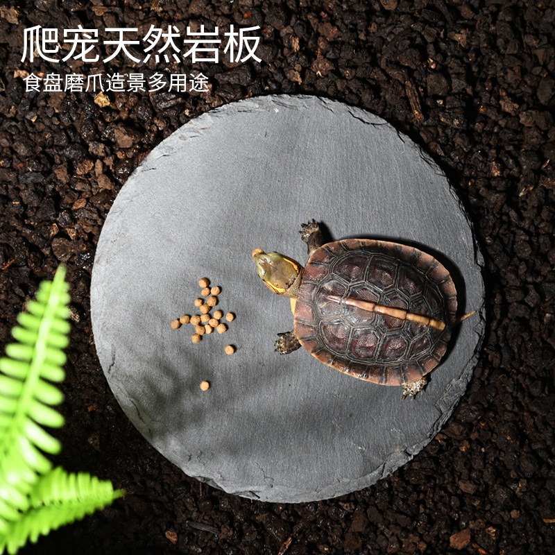 乌龟喂食盘半水龟喂食龟缸造景石板晒台爬虫角蛙黄缘陆龟食槽岩石