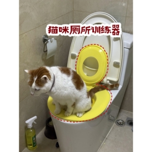猫咪马桶训练器可拆卸猫砂盆超大号防外溅防臭家用坐便蹲便猫厕所