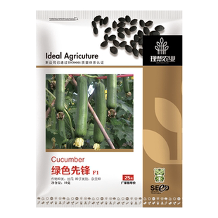 ideal理想农业精品高端丝瓜种籽真的特别优秀绿色先锋丝瓜种子