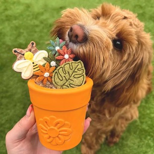 Sodapup花盆填食漏食狗狗丰容玩具慢食碗橡胶耐咬TUDOU宠物用品