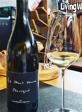 长相思天花板！膜拜酒法国Didier迪迪耶桑塞尔达摩山干白葡萄酒