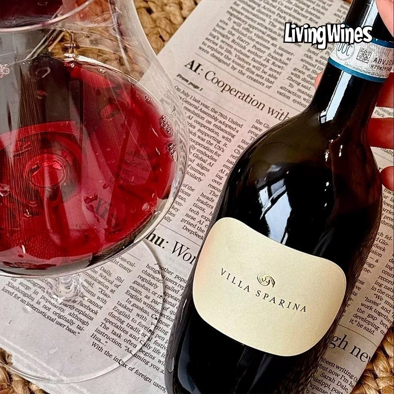 意大利皮埃蒙特DOC原瓶进口斯巴琳娜酒庄巴贝拉干红葡萄酒