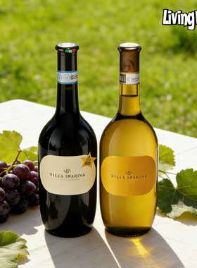 意大利皮埃蒙特DOC原瓶进口斯巴琳娜酒庄巴贝拉干红白DOCG葡萄酒