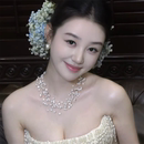 zoozmomo满天星多层珍珠流苏项链女轻奢高级感锁骨链choker颈链潮