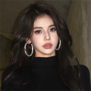 zoozmomo欧美博主ins风夸张镶钻大圆圈耳环女个性简约百搭耳饰潮