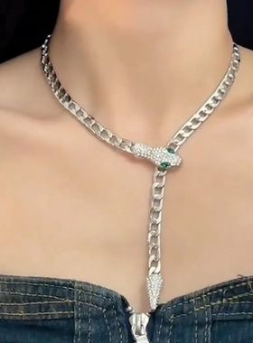 欧美镶钻银色蛇形项链女