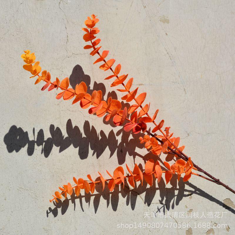 景i道s网红单支胶片尤加利仿真AL-105植物金钱叶背墙n婚庆造景摄